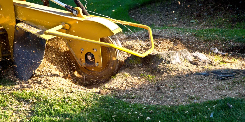Stump Grinding horizontal