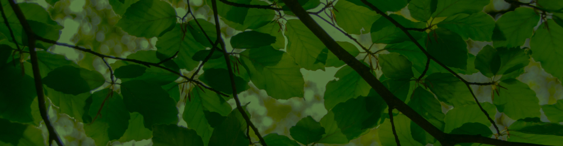 lightbulbs breadcrumbs